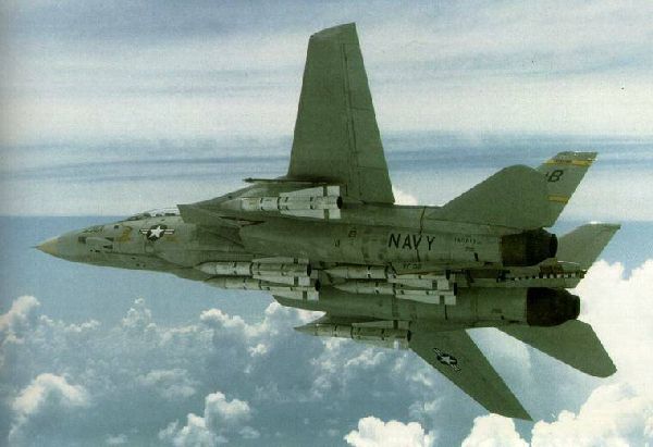 Grumman F14 Tomcat above the clouds 600x411 38K